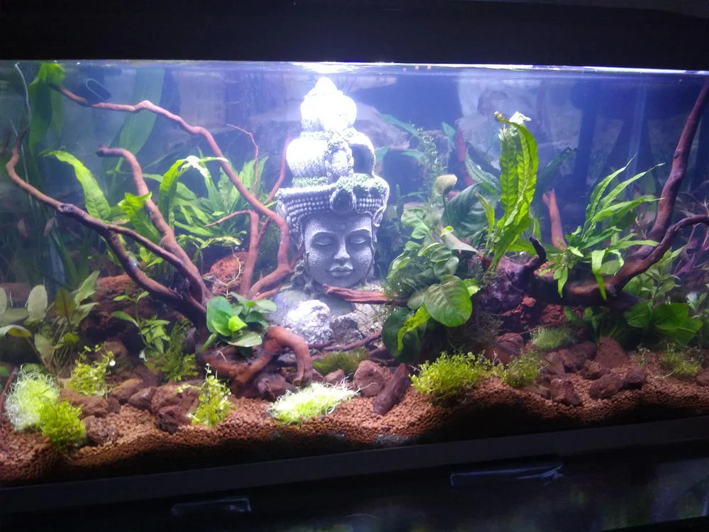 Lava Rocks for Aquarium | Aquascaping Natural Lava Rocks 4-8cm / 40mm- 80mm - Image 6